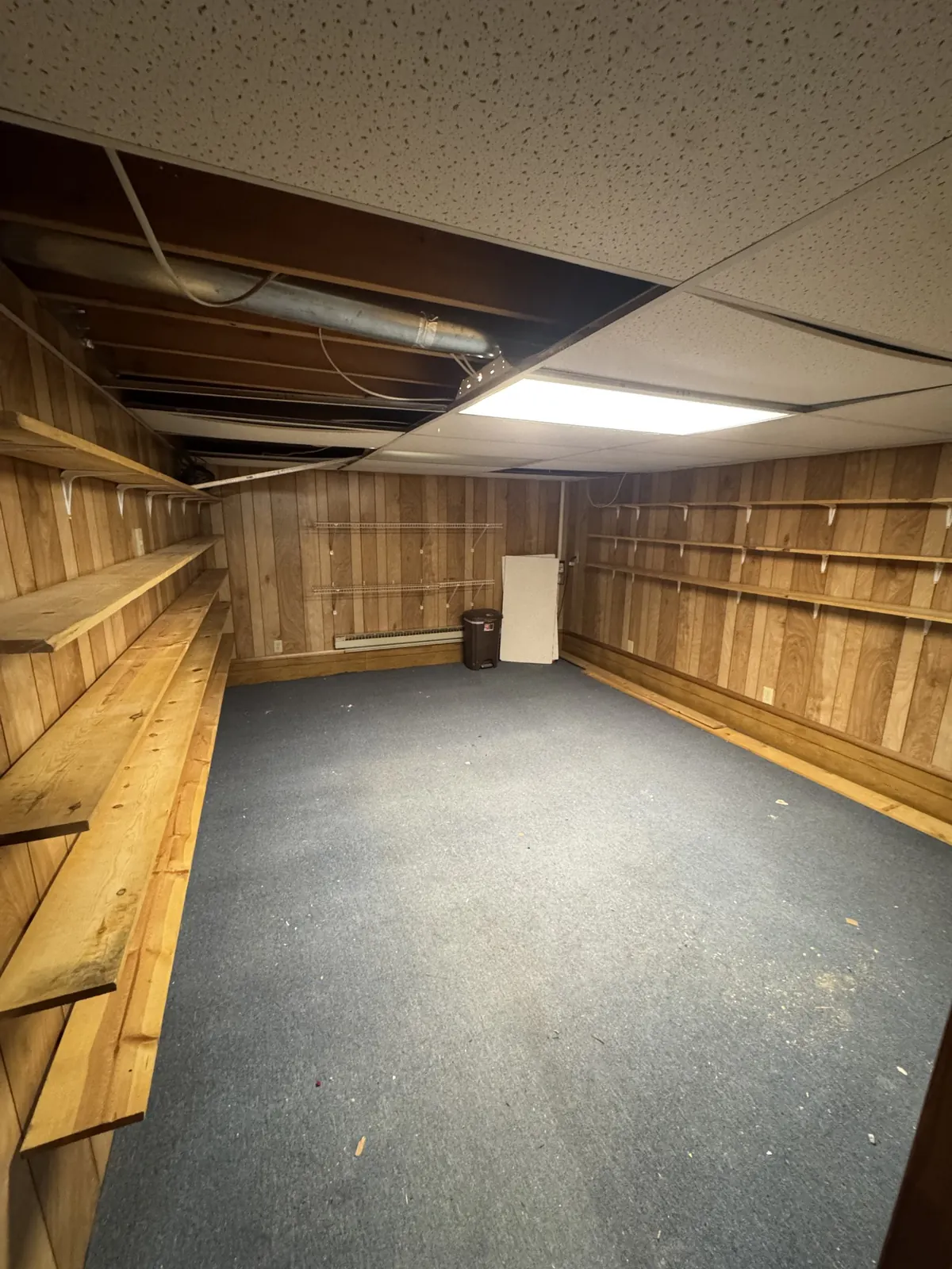 After: the same basement room with empty shelves and clear carpet.