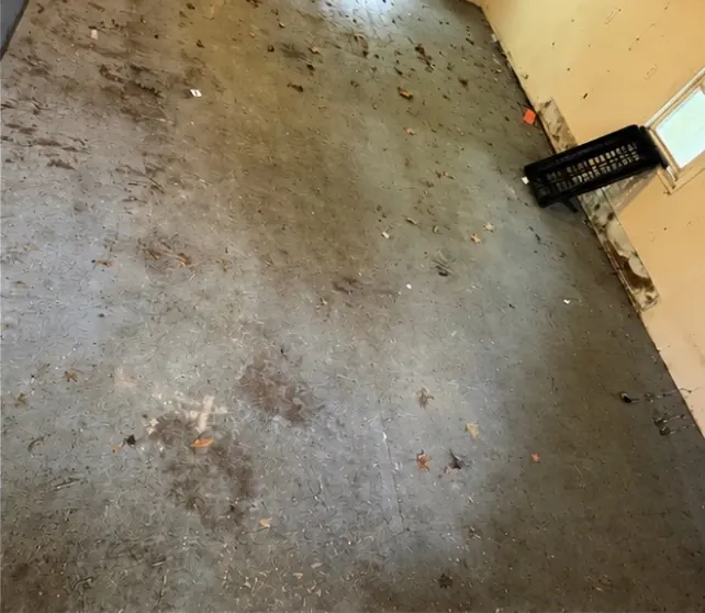 After: the same room with the floor cleared.